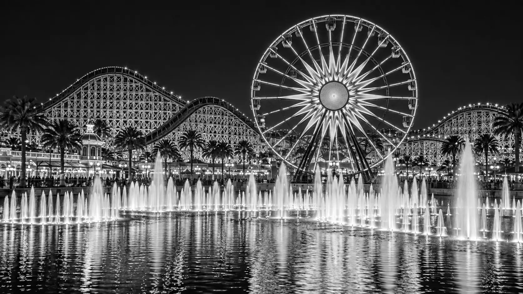 Black-and-white nighttime Anaheim theme-park waterfront with an illuminated Ferris wheel, roller coaster and fountain show